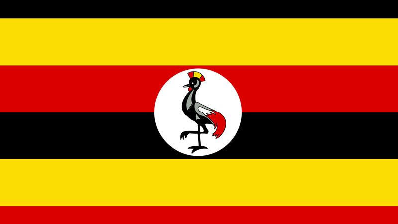 أوغندا: 25 قتيلًا بهجوم على مدرسة غرب البلاد