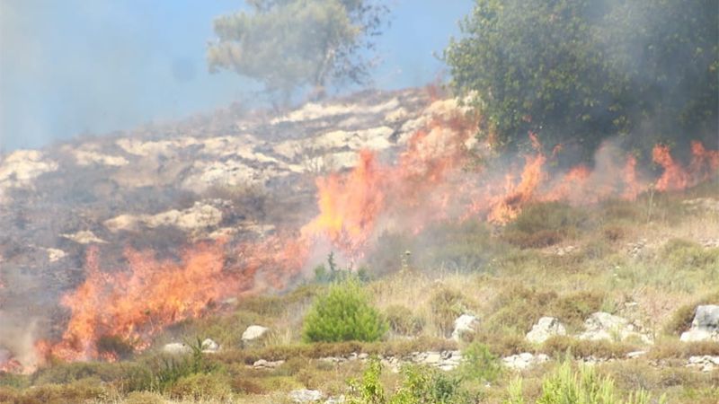 فلسطين: مستوطنون يحرقون عشرات الدونمات الزراعية جنوب نابلس