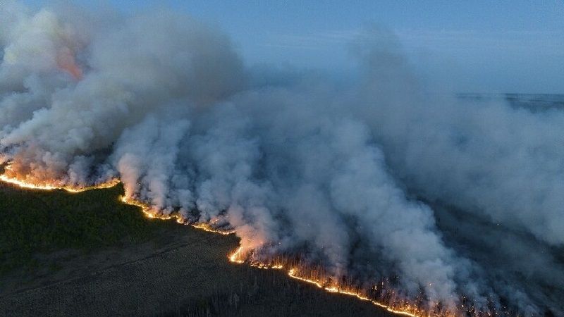 كندا.. حرائق الغابات الضخمة تلتهم أكثر من 10 ملايين هكتار