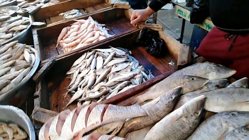 لبنان: بلدية صيدا تمنع بسطات بيع السمك المجلد في شوارع المدينة