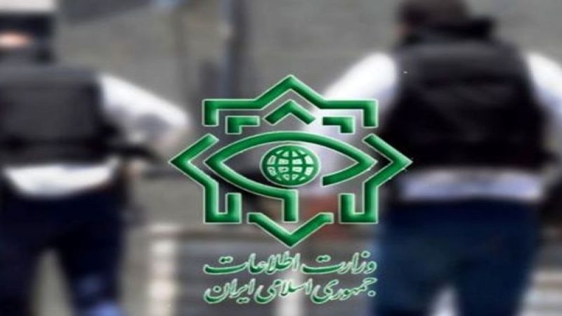 وزير الأمن الإيراني: مخطط العدو فشل في تنفيذ أعمال إرهابية