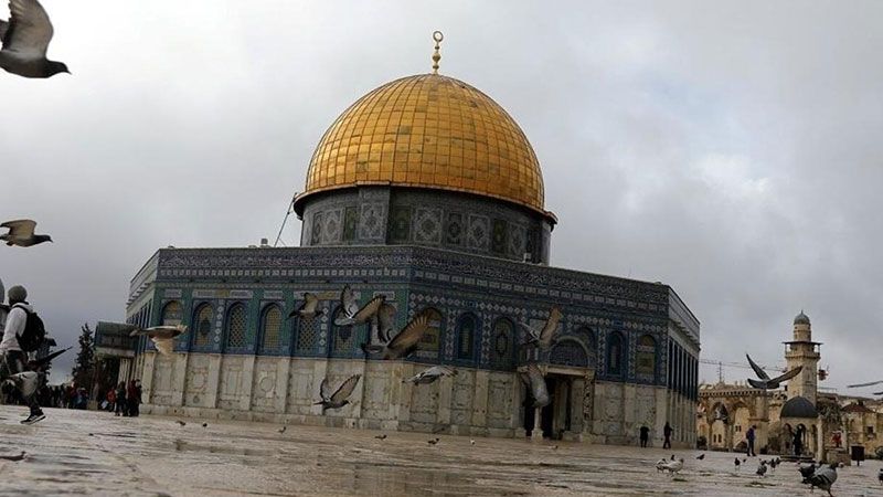 لإحياء ذكرى المولد النبوي الشريف.. الفلسطينيون يشدون الرحال نحو الأقصى