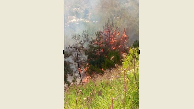لبنان: اندلاع حريق كبير في الأحراج الفاصلة بين بعاصير والدبية في اقليم الخروب