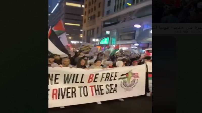بالفيديو.. مسيرة حاشدة في مدينة شيكاغو دعمًا لفلسطين وتنديدًا بجرائم الاحتلال