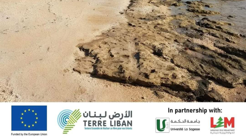 لبنان| جمعية الأرض: لحماية الشاطئ حفاظا على الثروة البيئية والتنوع البيولوجي