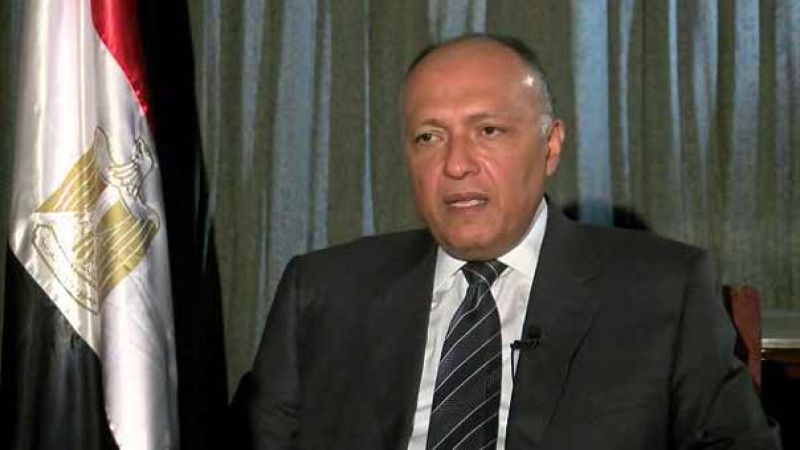 وزير خارجية مصر: وزير المالية "الإسرائيلي" بشأن تهجير الفلسطينيين مرفوضة جملة وتفصيلًا