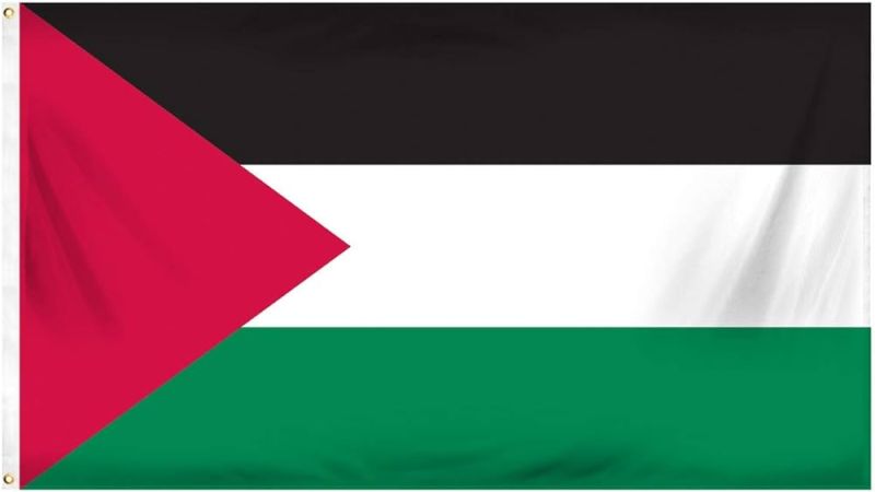 حماس: تبنّي حكومة الإرهاب الصهيونية قرارًا برفض الاعتراف بدولة فلسطينية تأكيد على السلوك المارق عن القرارات الدولية والمتنكر لحق شعبنا