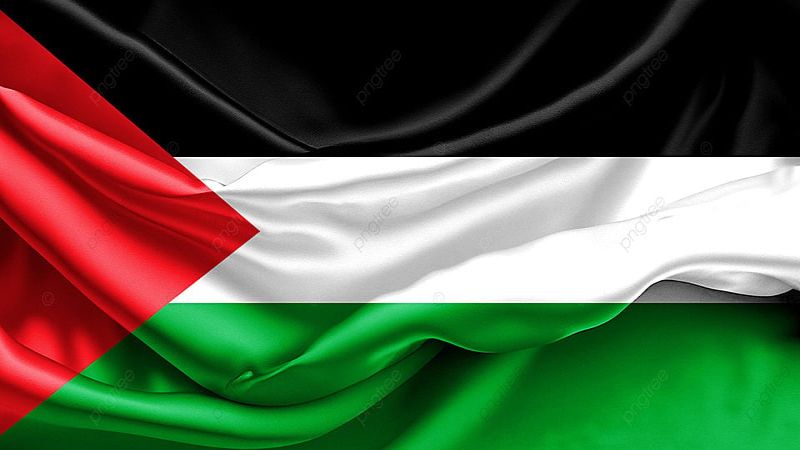نادي الأسير الفلسطيني: قوات الاحتلال اعتقلت 30 فلسطينيا في الضفة الغربية وعددا من عمال غزة في مدينة نابلس