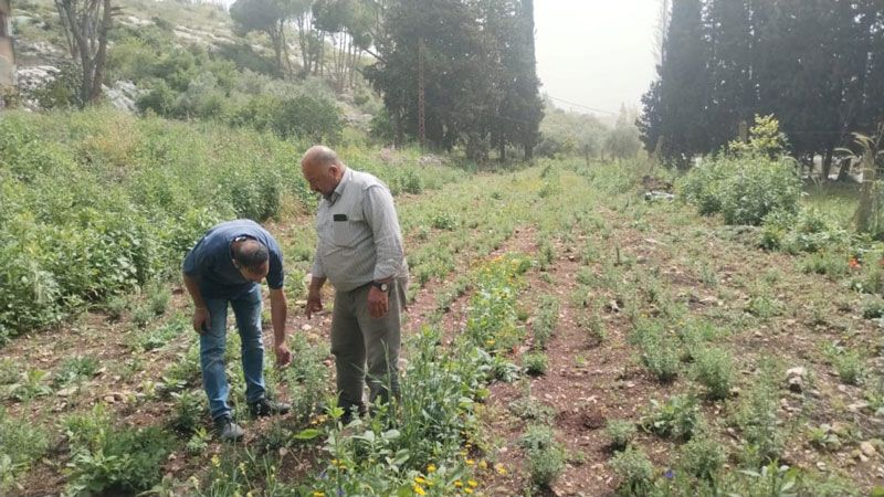 لجنة التنمية الزراعية لحزب الله في صيدا نظّمت سلسلة أنشطة في شهري آذار ونيسان