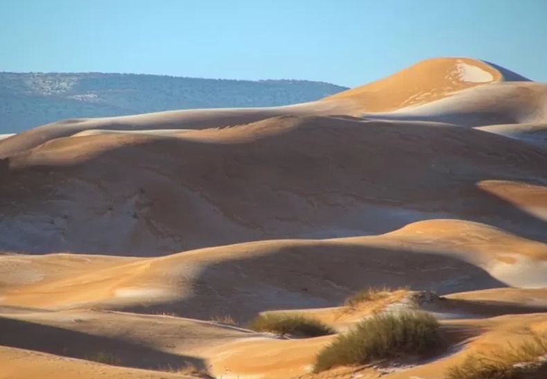 صحراء الجزائر بيضاء