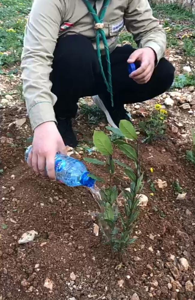 لبنان: نشاط زراعي لكشافة الإمام المهدي "عج" في الطيري